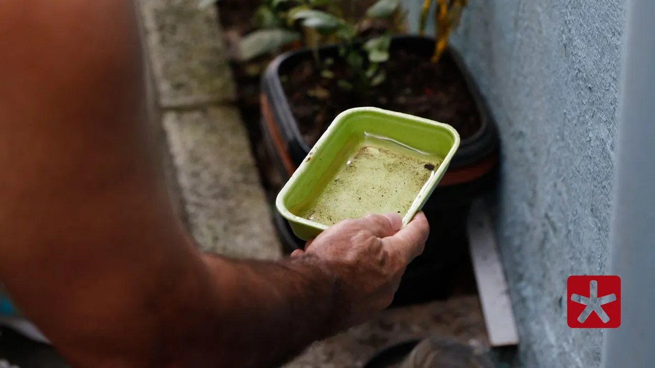 Inseticida age diretamente no sistema nervoso dos insetos, levando à morte rápida 