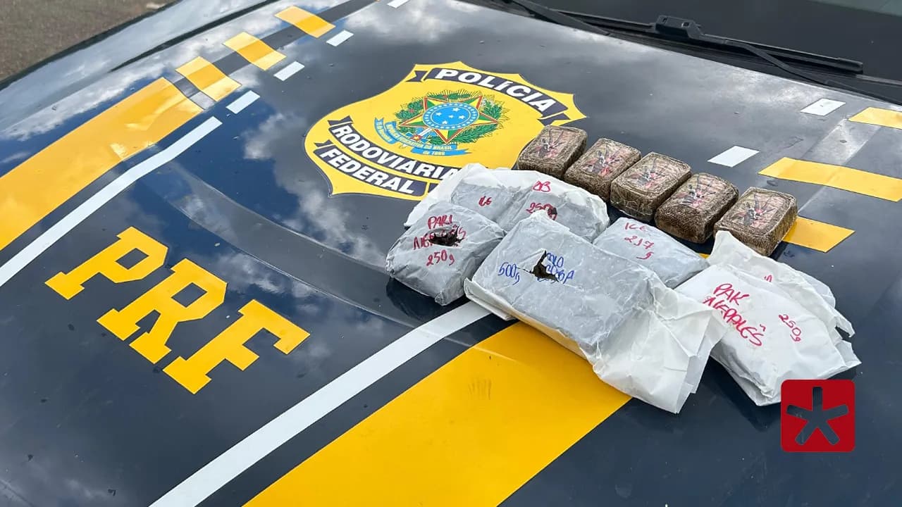 Equipe realizou buscas, mas não localizou o proprietário das substâncias ilícitas 