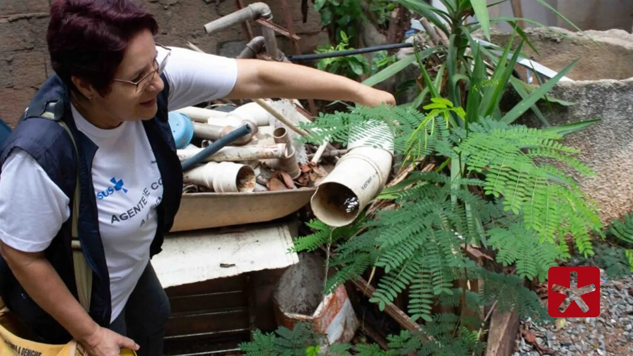 Minas divulga primeiro levantamento de infestação do Aedes aegypti em 2026 e reforça prevenção