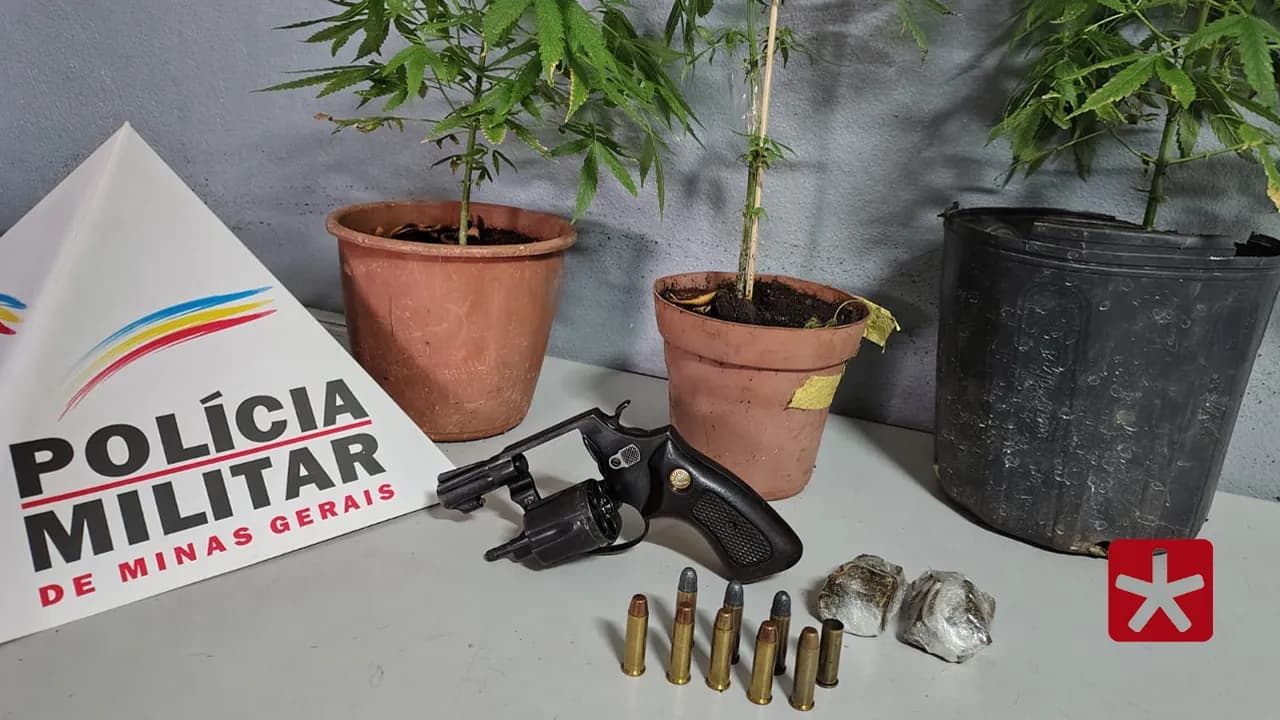 Durante buscas, militares encontraram vasos de maconha na residência do suspeito