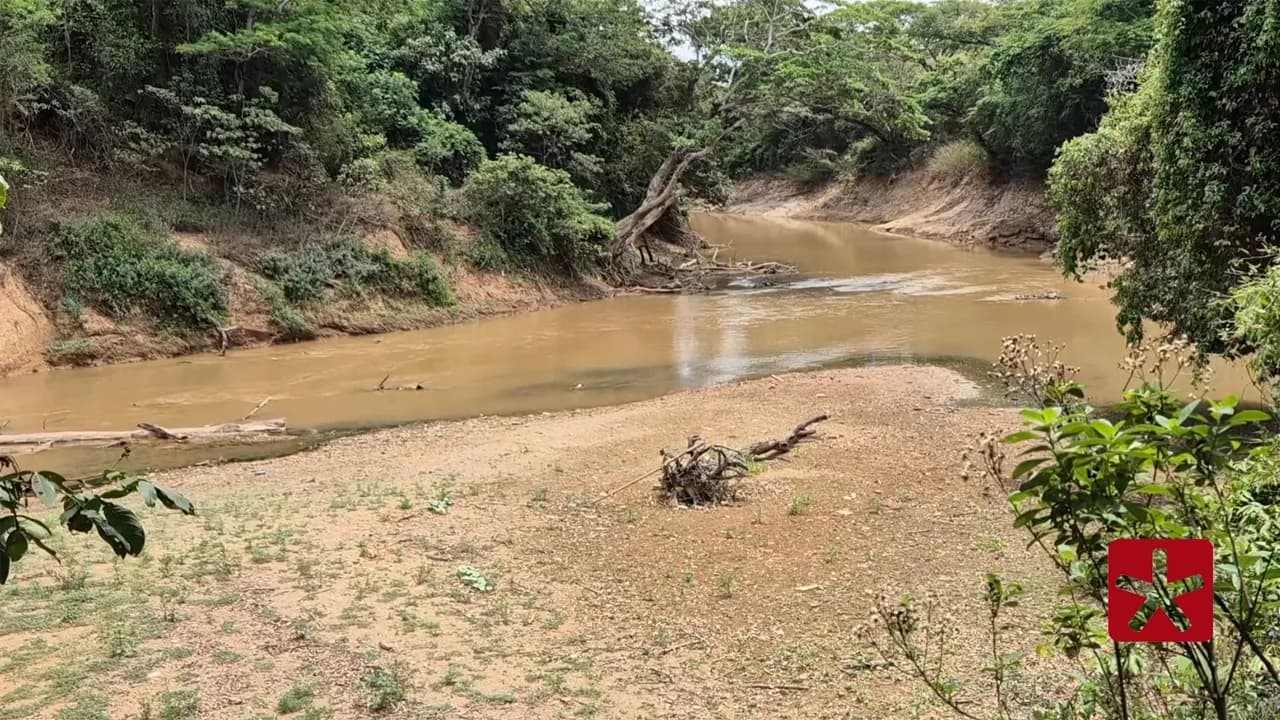 Acúmulo de resíduos sólidos reduz profundidade do leito e impede fluxo normal da água
